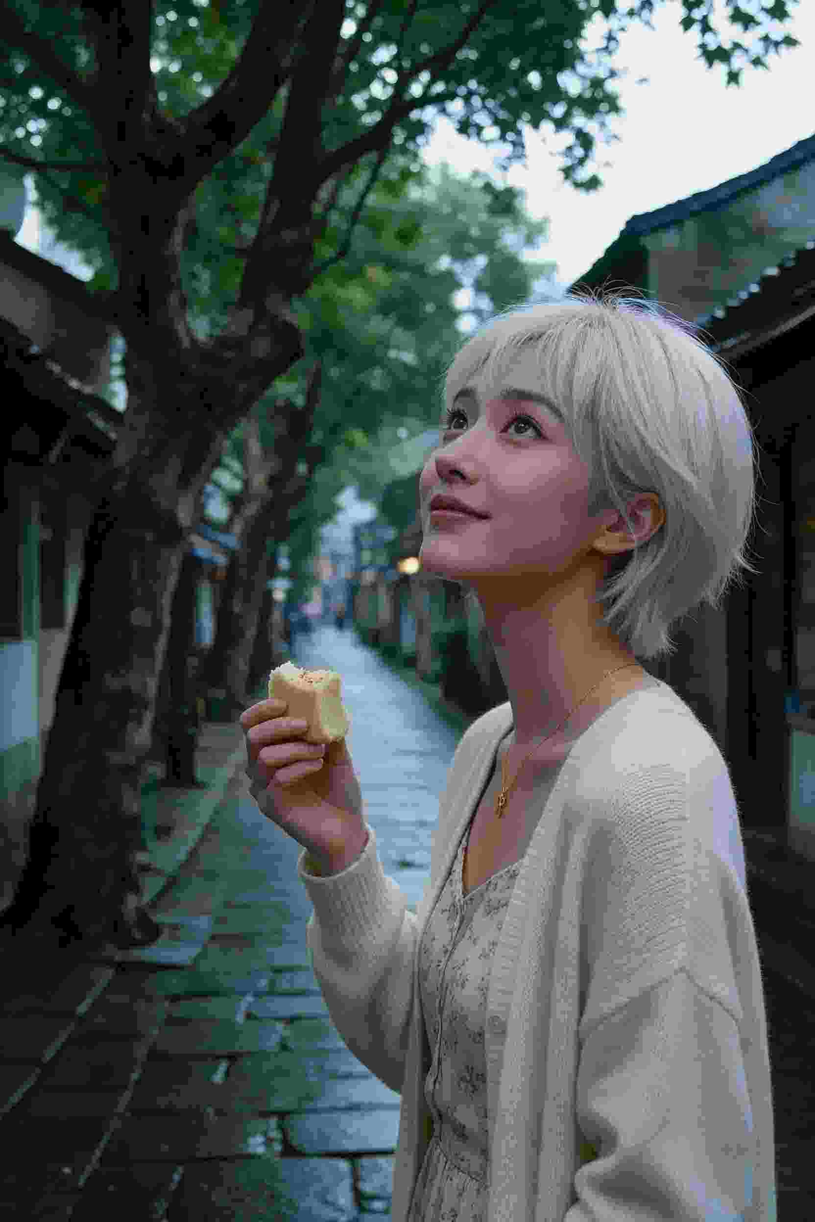 约定之地